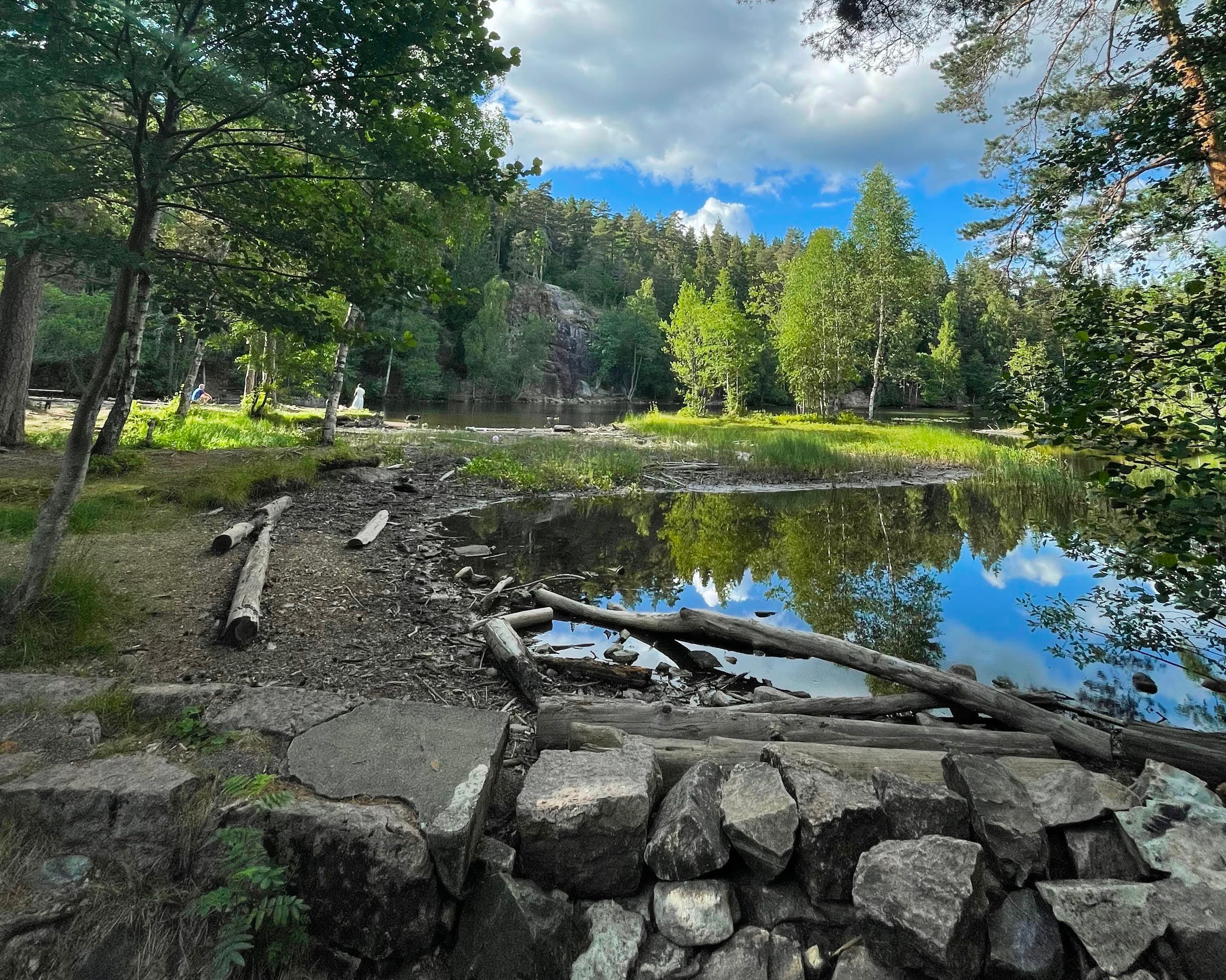 Lake, forest and stones